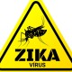 zikavirus