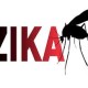 zika inovação