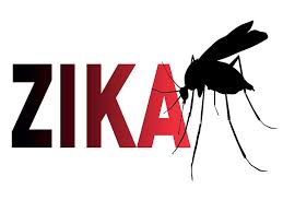 zika inovação