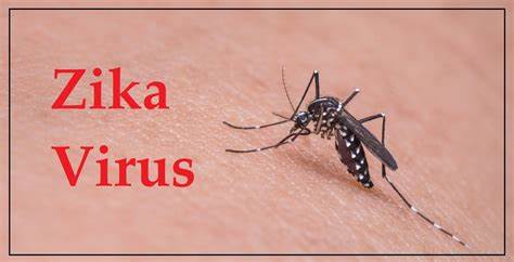 Zika Vírus