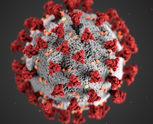 coronavirus