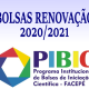 PIBIC RENOVAÇÃO 20-21