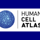 human cell atlas2