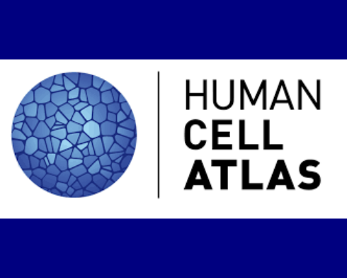 human cell atlas2