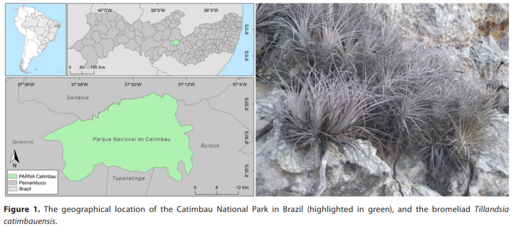 Mapa Parna e Bromelia