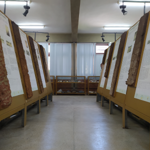 museu dos solos 1
