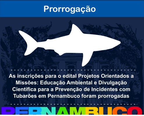 Imagem Tubarão 2 miniatura