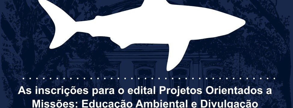 Imagem Tubarão 2 miniatura
