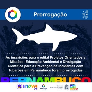 Imagem tubarão 1