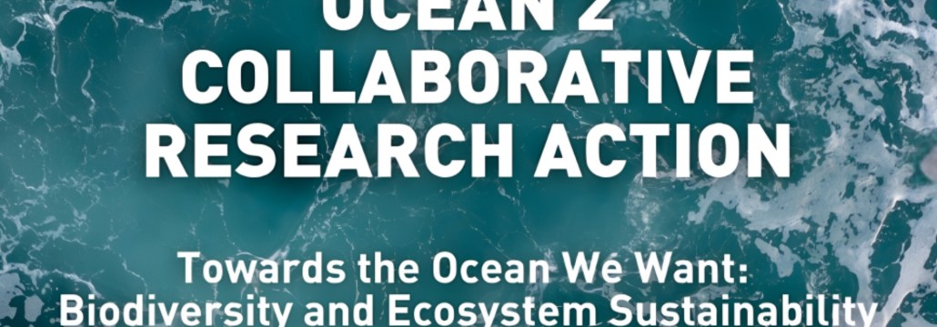 12.02.2026 CHAMADA OCEAN 2