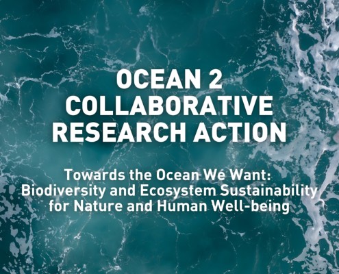 12.02.2026 CHAMADA OCEAN 2